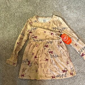 NWT Girls Winter Dress